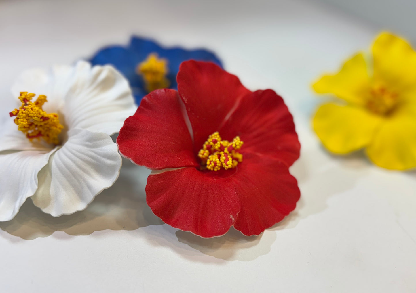 Amapola