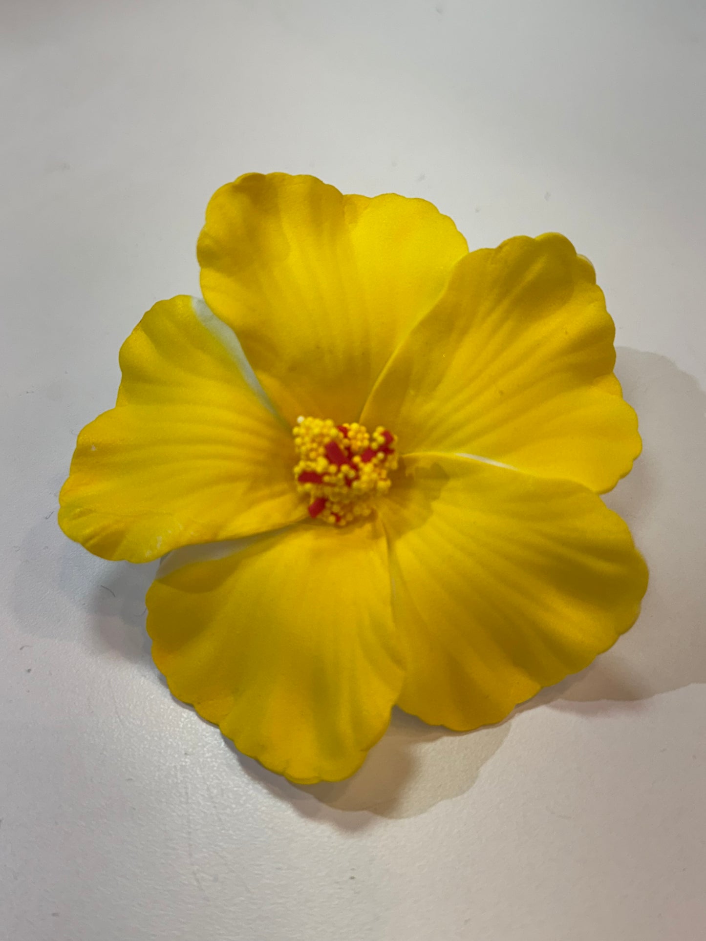 Amapola