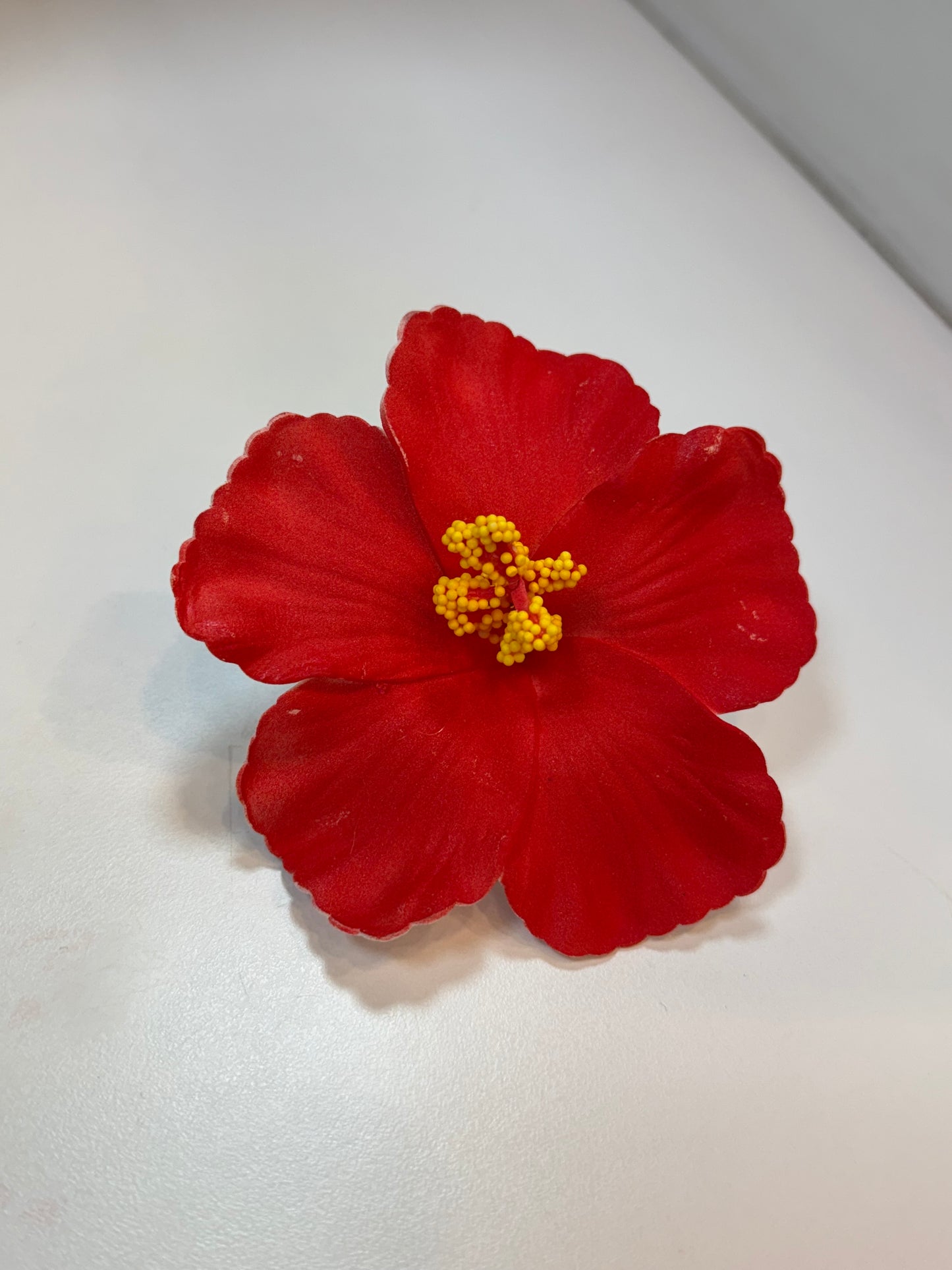 Amapola