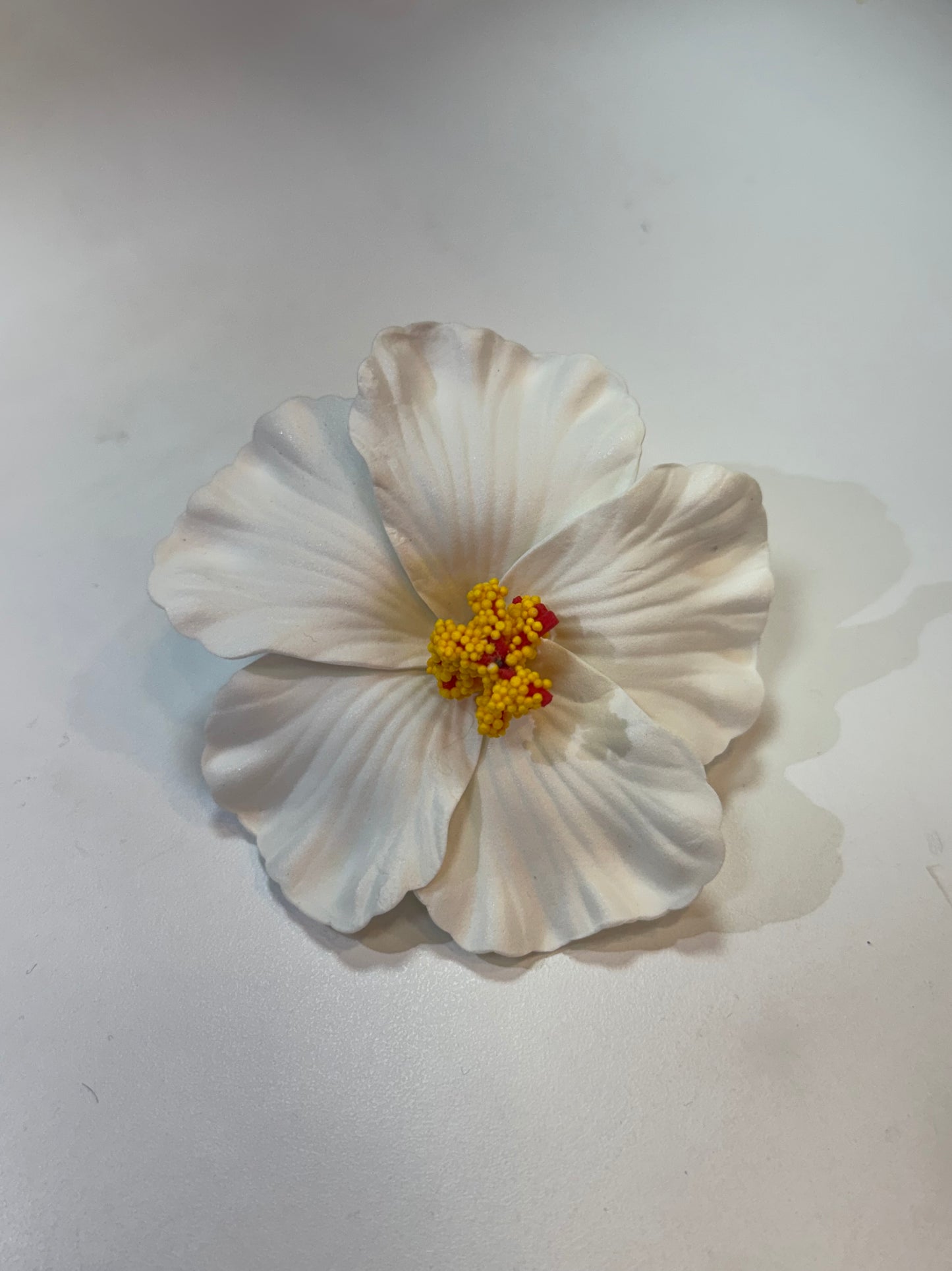 Amapola