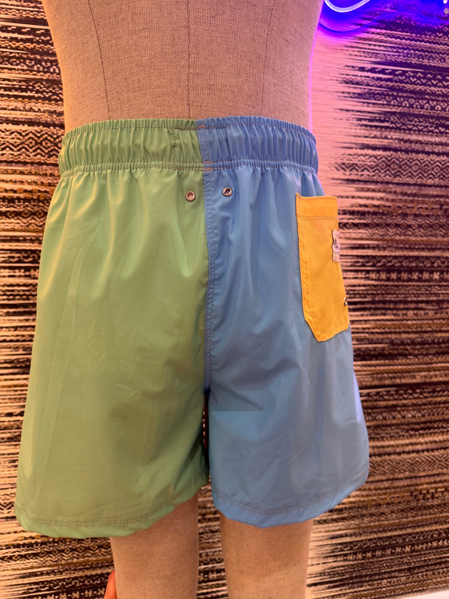 Color Block Swim Short